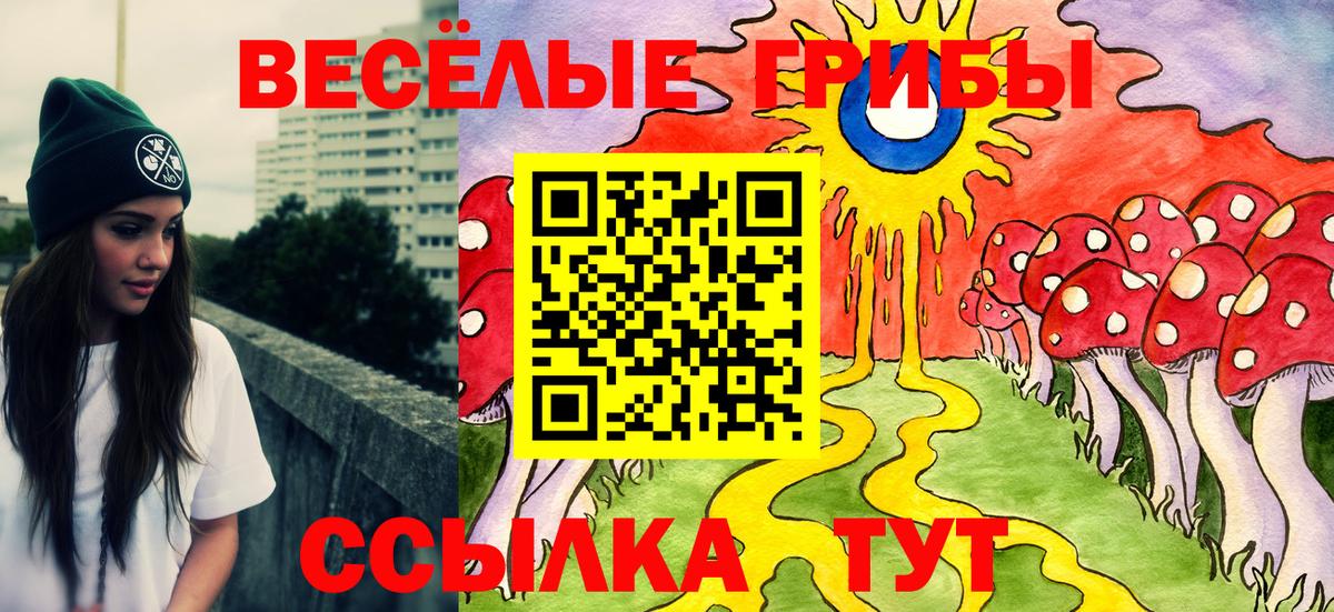 Кушва  Галлюциногенные грибы Psilocybe  Вход с VPN 